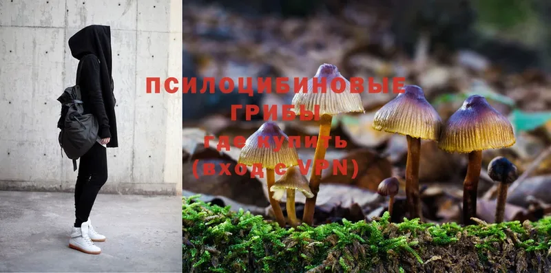 Псилоцибиновые грибы Magic Shrooms  купить наркотик  Шелехов 